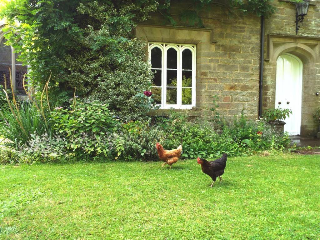 Old Vicarage B&B Coleford  Exterior foto